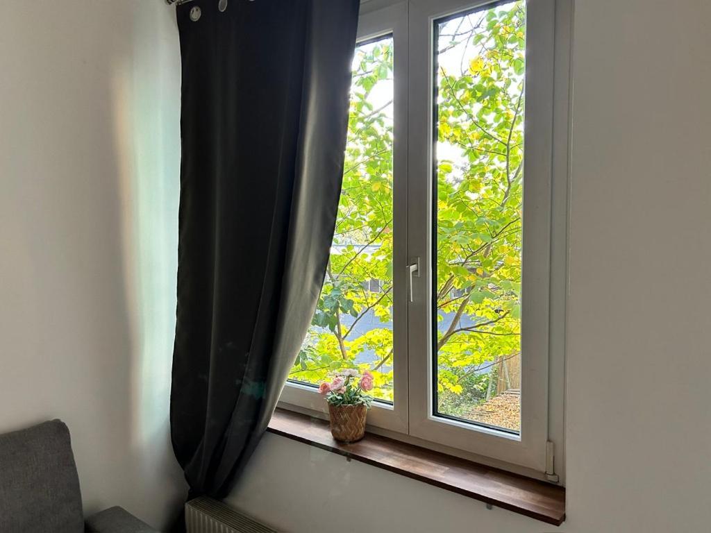 Prime Suites Near Schoenbrunn Castle Βιέννη Εξωτερικό φωτογραφία