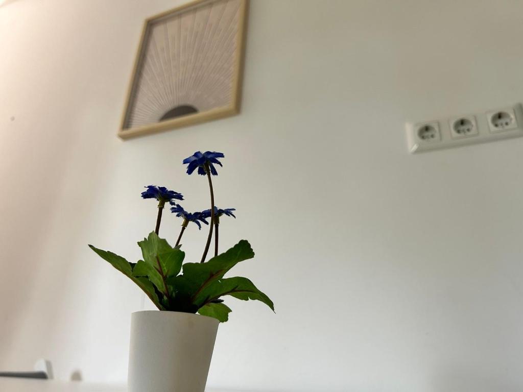 Prime Suites Near Schoenbrunn Castle Βιέννη Εξωτερικό φωτογραφία